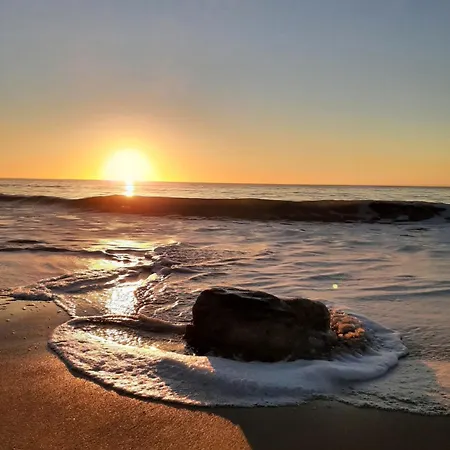 Le Petit Noirmout L'Herbaudiere