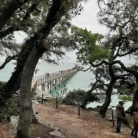 Le Petit Noirmout * L'Herbaudiere