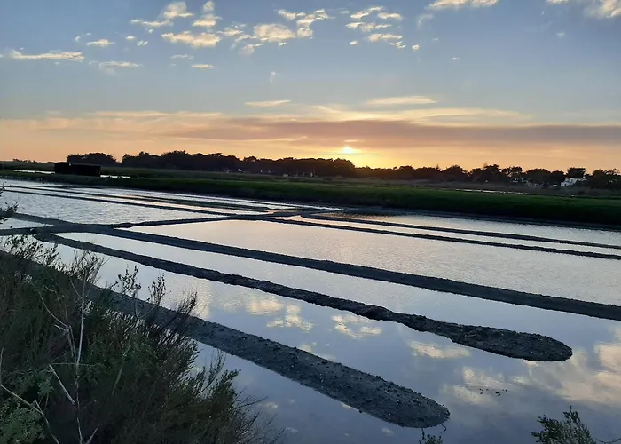 Le Petit Noirmout Appartement *