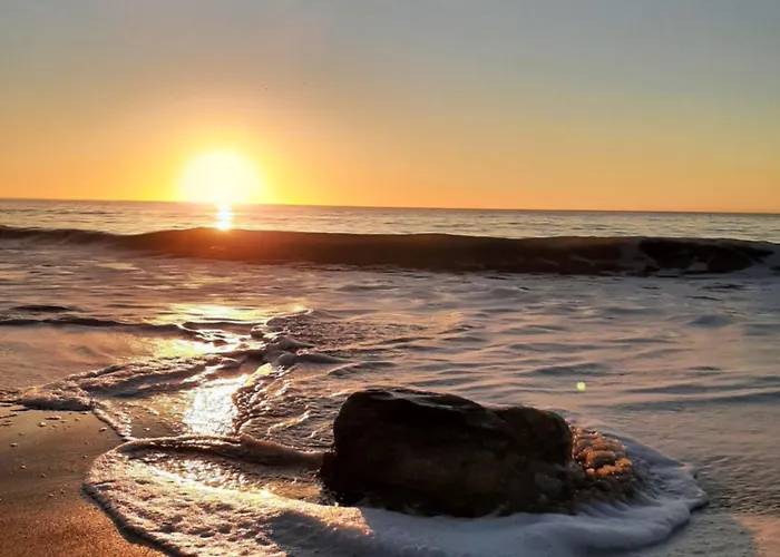 Le Petit Noirmout L'Herbaudiere