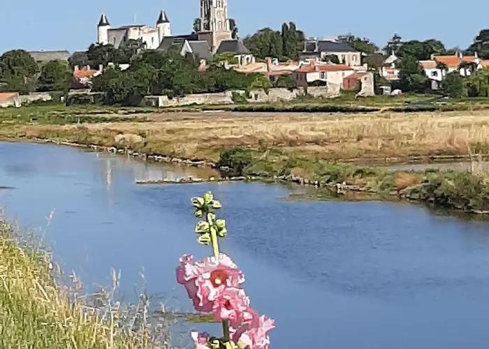 Appartement Le Petit Noirmout *